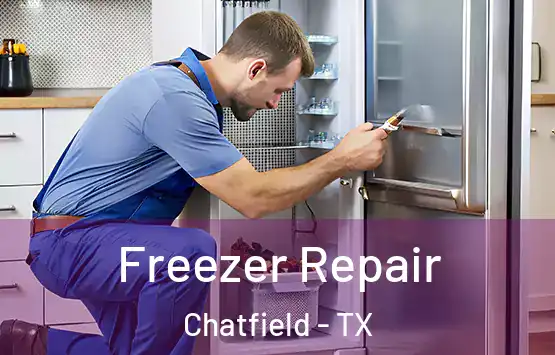  Freezer Repair Chatfield - TX
