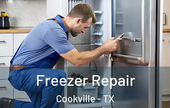  Freezer Repair Cookville - TX
