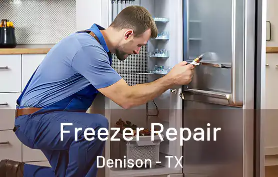  Freezer Repair Denison - TX