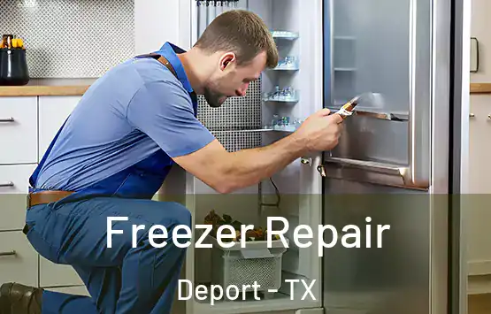  Freezer Repair Deport - TX