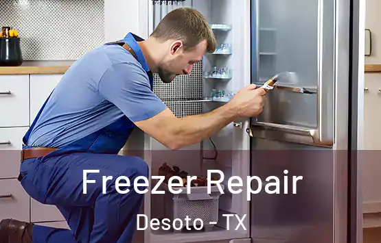  Freezer Repair Desoto - TX