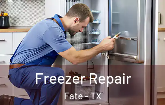  Freezer Repair Fate - TX