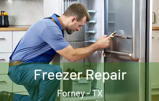  Freezer Repair Forney - TX