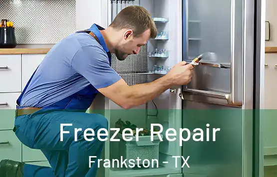  Freezer Repair Frankston - TX