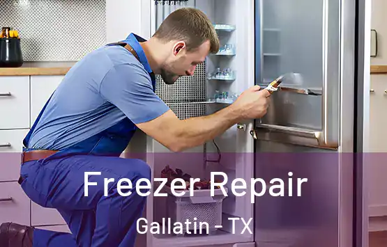  Freezer Repair Gallatin - TX
