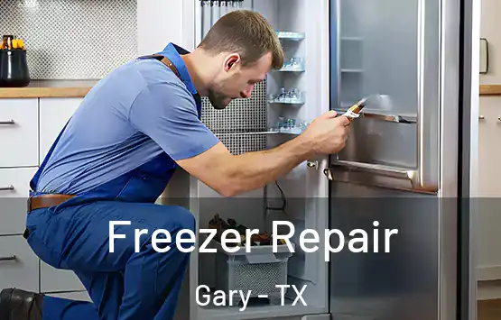  Freezer Repair Gary - TX