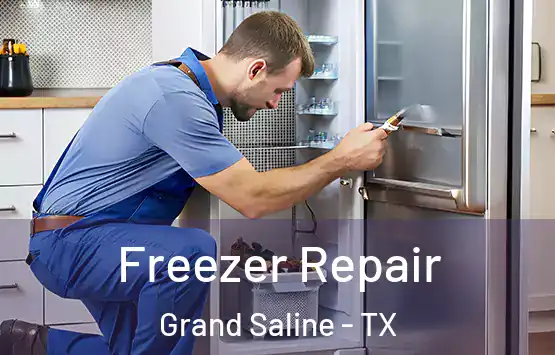  Freezer Repair Grand Saline - TX