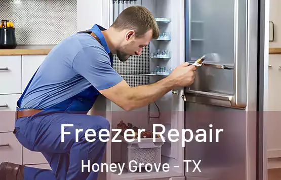  Freezer Repair Honey Grove - TX