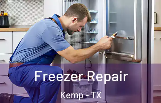  Freezer Repair Kemp - TX