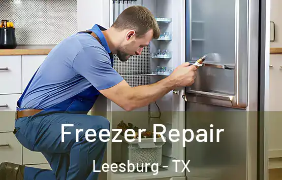  Freezer Repair Leesburg - TX