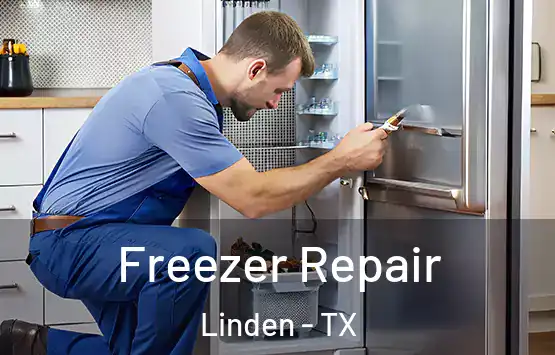  Freezer Repair Linden - TX