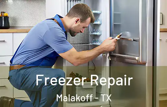  Freezer Repair Malakoff - TX