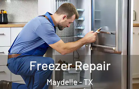  Freezer Repair Maydelle - TX