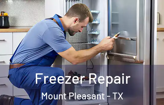  Freezer Repair Mount Pleasant - TX
