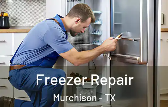  Freezer Repair Murchison - TX