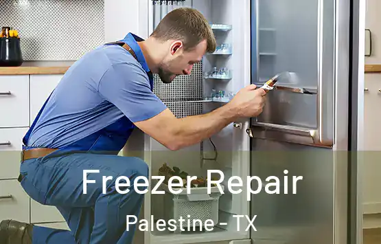  Freezer Repair Palestine - TX