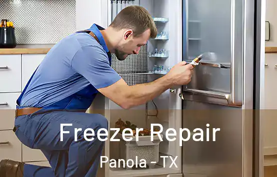  Freezer Repair Panola - TX