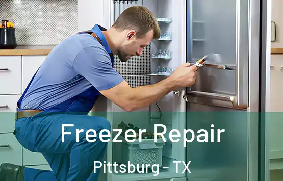  Freezer Repair Pittsburg - TX
