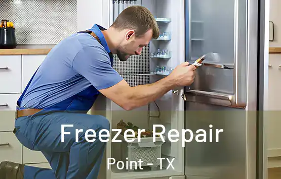  Freezer Repair Point - TX