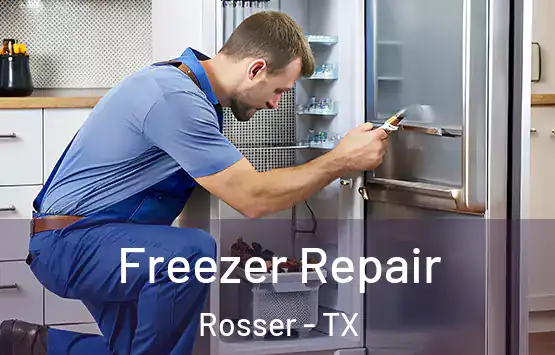  Freezer Repair Rosser - TX