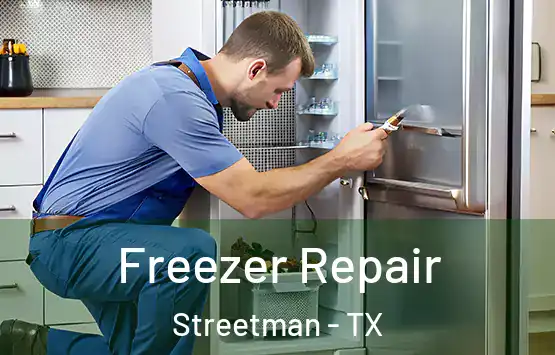  Freezer Repair Streetman - TX
