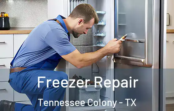  Freezer Repair Tennessee Colony - TX