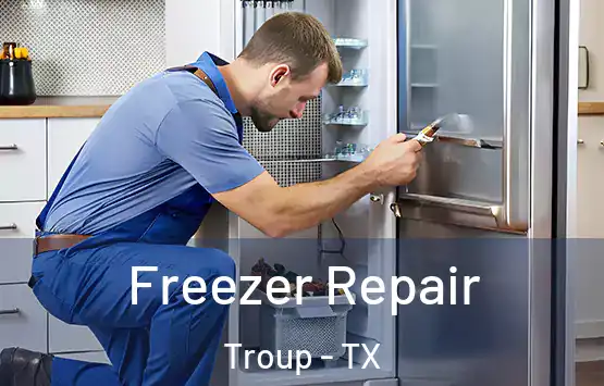  Freezer Repair Troup - TX