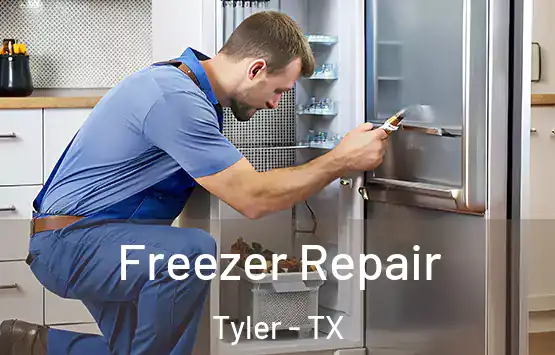  Freezer Repair Tyler - TX