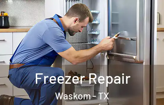 Freezer Repair Waskom - TX