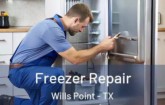  Freezer Repair Wills Point - TX