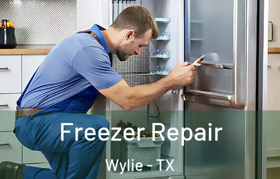  Freezer Repair Wylie - TX