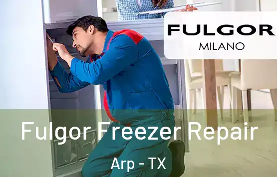  Fulgor Freezer Repair Arp - TX