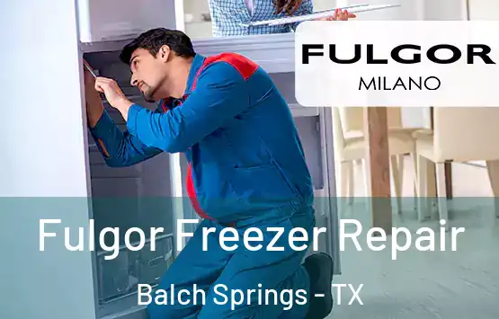  Fulgor Freezer Repair Balch Springs - TX