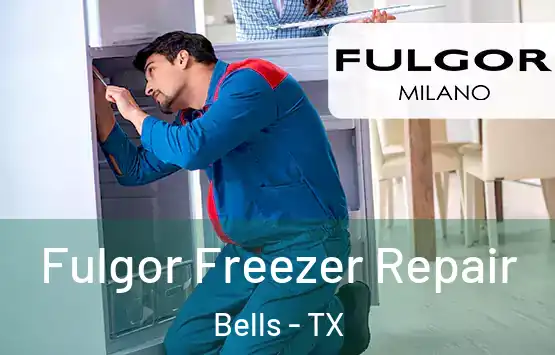  Fulgor Freezer Repair Bells - TX