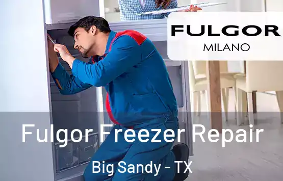  Fulgor Freezer Repair Big Sandy - TX