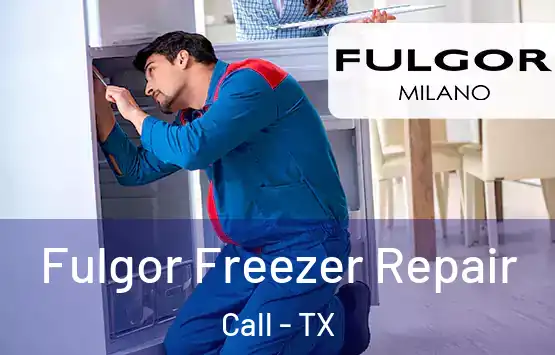  Fulgor Freezer Repair Call - TX