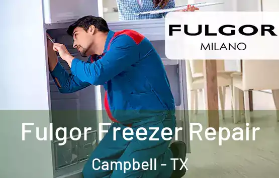  Fulgor Freezer Repair Campbell - TX