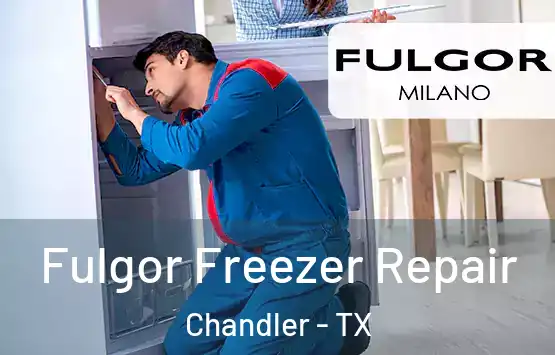  Fulgor Freezer Repair Chandler - TX