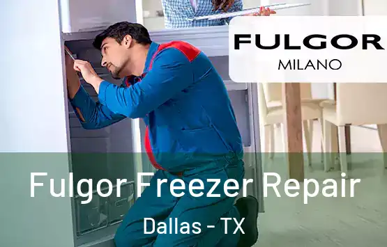  Fulgor Freezer Repair Dallas - TX