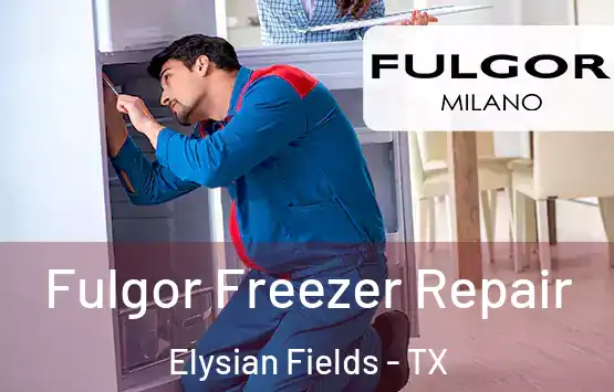  Fulgor Freezer Repair Elysian Fields - TX