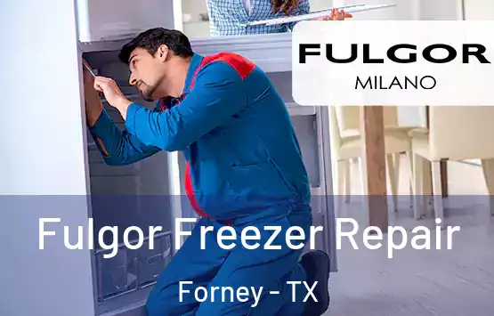  Fulgor Freezer Repair Forney - TX