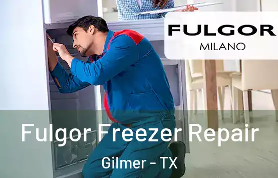  Fulgor Freezer Repair Gilmer - TX