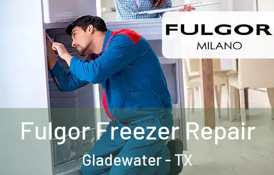  Fulgor Freezer Repair Gladewater - TX