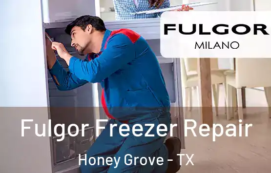  Fulgor Freezer Repair Honey Grove - TX