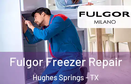  Fulgor Freezer Repair Hughes Springs - TX