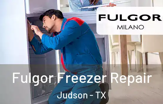  Fulgor Freezer Repair Judson - TX
