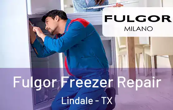  Fulgor Freezer Repair Lindale - TX