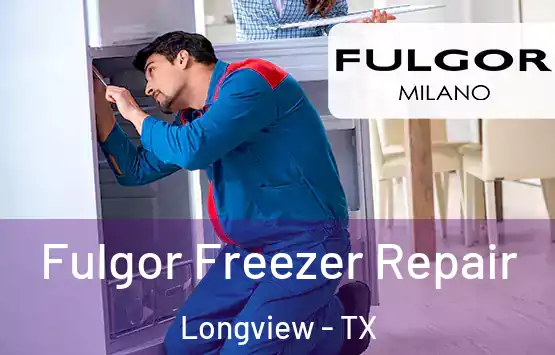  Fulgor Freezer Repair Longview - TX