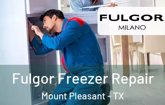  Fulgor Freezer Repair Mount Pleasant - TX