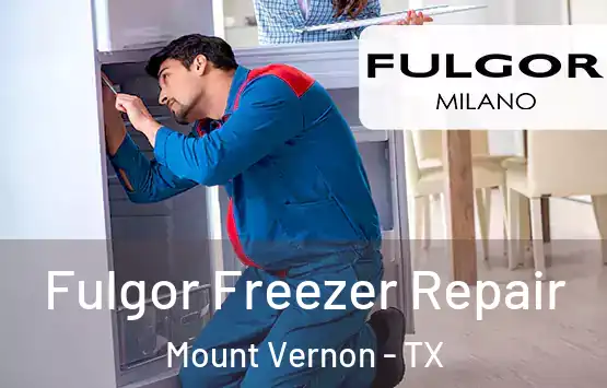  Fulgor Freezer Repair Mount Vernon - TX